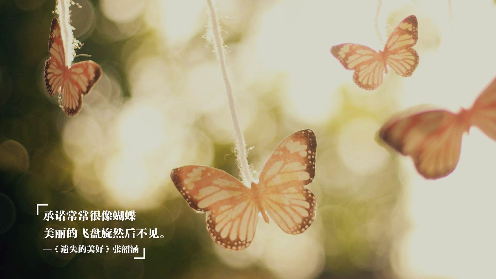 APP下载 LY Sports-中国足球教练组决策流程透明度与执行效率提升，中国足球教练组成员