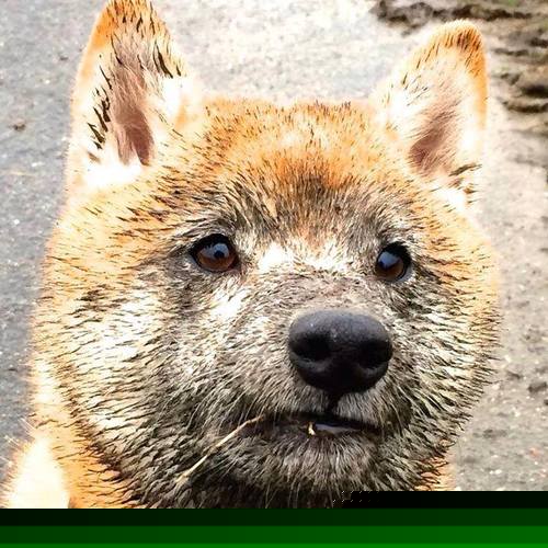 leyu乐鱼在线登录入口-中国足球职业联赛持续推动公平竞赛环境，国际足联公平竞赛口号