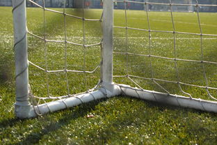 乐鱼电竞-五大联赛门将扑点成功率大比拼，门将扑点球排名