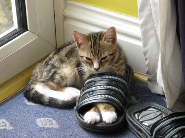 体育新闻中心打造体育公益透明信息发布体系，体育新闻公众号推荐