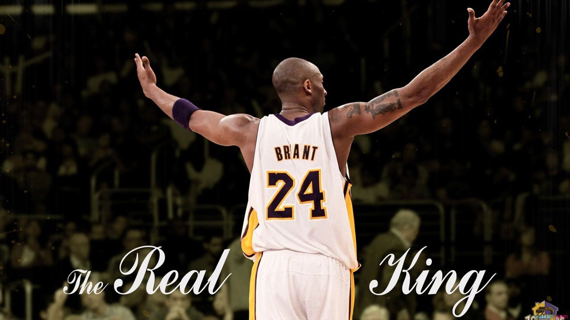 最不可思议比赛，不可思议比赛动画